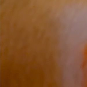 Meet your Posher, Noah